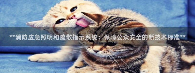 **消防应急照明和疏散指示系统:保障公众安全的新技术标准**