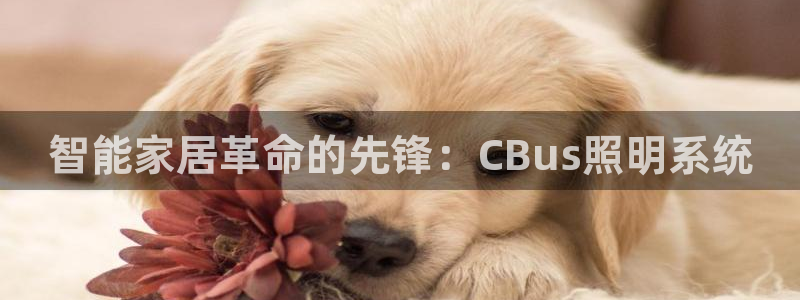 智能家居革命的先锋:CBus照明系统