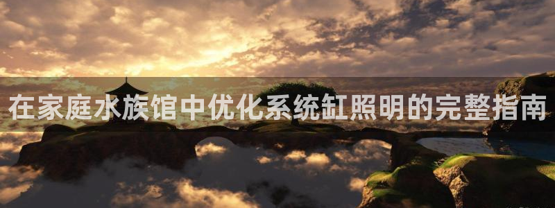 在家庭水族馆中优化系统缸照明的完整指南