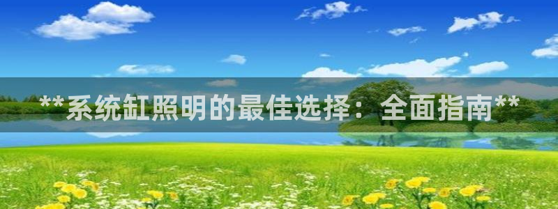 **系统缸照明的最佳选择:全面指南**