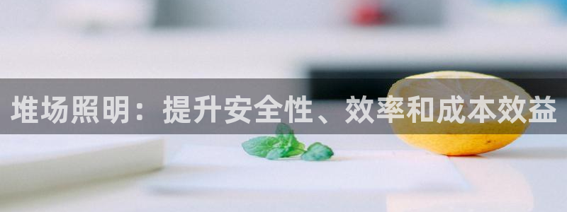 堆场照明：提升安全性、效率和成本效益
