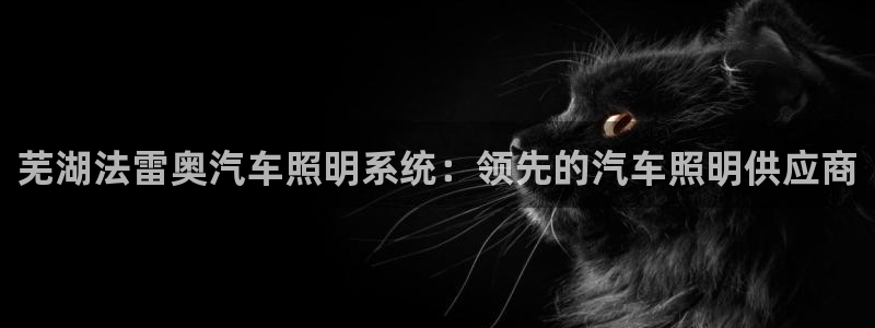 芜湖法雷奥汽车照明系统：领先的汽车照明供应商