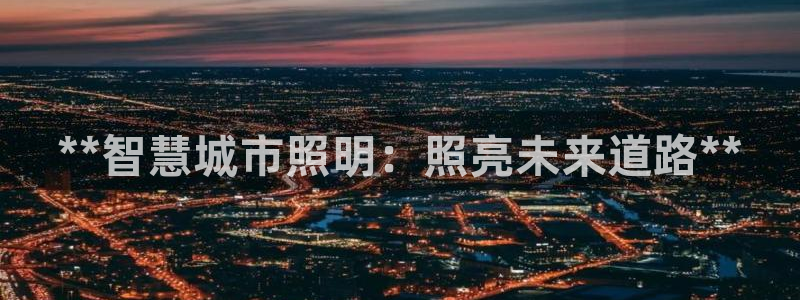 **智慧城市照明：照亮未来道路**