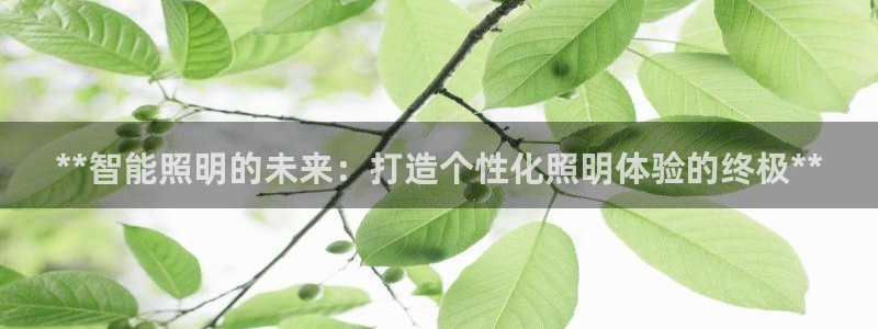 **智能照明的未来:打造个性化照明体验的终极**
