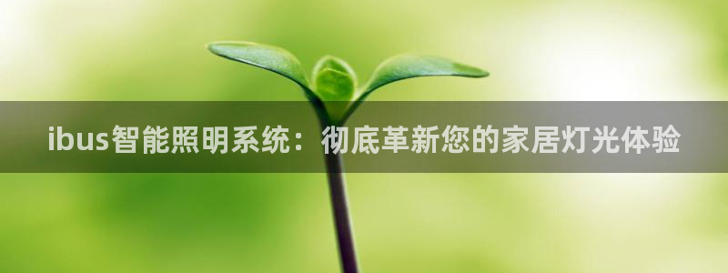 ibus智能照明系统:彻底革新您的家居灯光体验