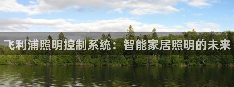 飞利浦照明控制系统：智能家居照明的未来