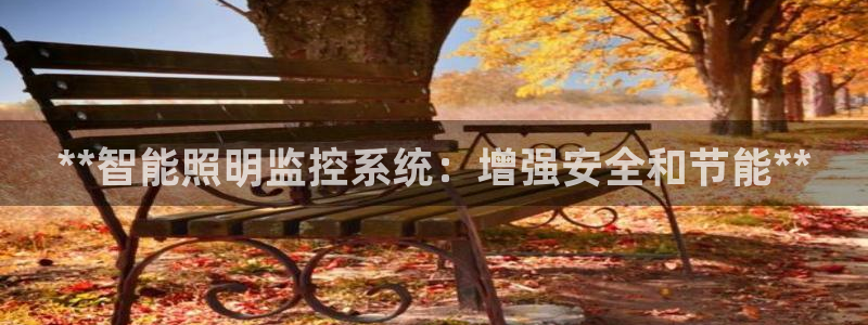**智能照明监控系统：增强安全和节能**