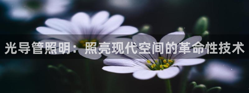 光导管照明：照亮现代空间的革命性技术