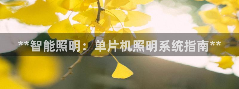 **智能照明：单片机照明系统指南**