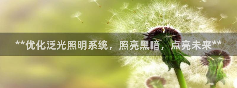 **优化泛光照明系统，照亮黑暗，点亮未来**