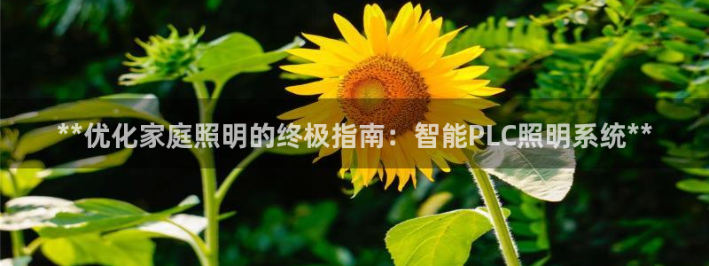 **优化家庭照明的终极指南：智能PLC照明系统**