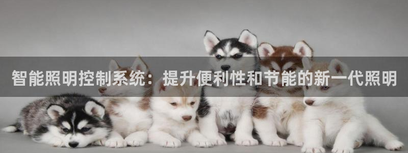智能照明控制系统：提升便利性和节能的新一代照明