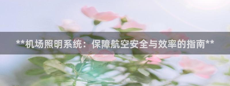 **机场照明系统：保障航空安全与效率的指南**