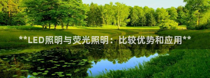 **LED照明与荧光照明：比较优势和应用**