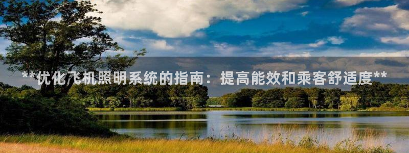 **优化飞机照明系统的指南：提高能效和乘客舒适度**