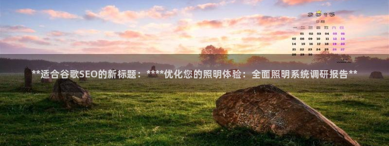 **适合谷歌SEO的新标题:****优化您的照明体验:全面照明系统调研报告**