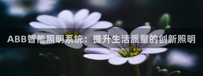 ABB智能照明系统：提升生活质量的创新照