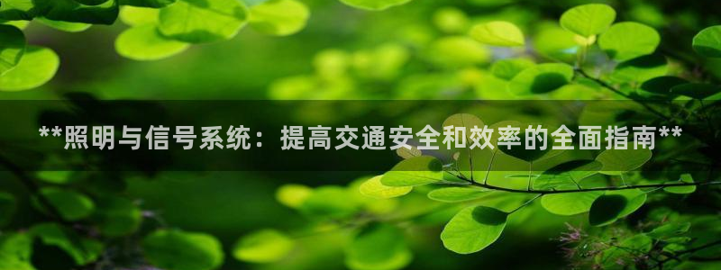 **照明与信号系统:提高交通安全和效率的全面指南**