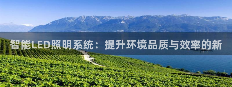智能LED照明系统：提升环境品质与效率的新