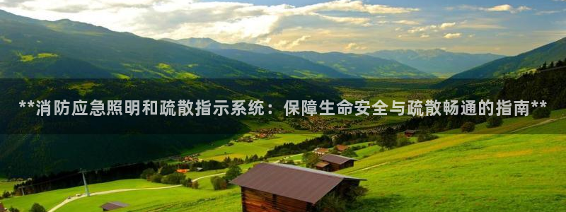 **消防应急照明和疏散指示系统:保障生命安全与疏散畅通的指南**