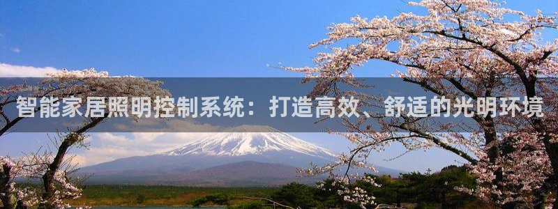 智能家居照明控制系统：打造高效、舒适的光明环境