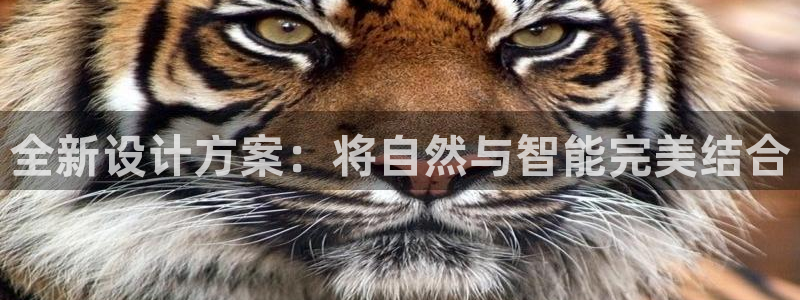 全新设计方案：将自然与智能完美结合
