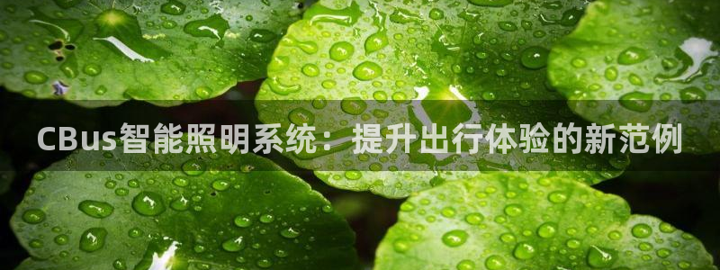 CBus智能照明系统：提升出行体验的新范例