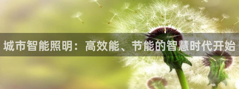 城市智能照明：高效能、节能的智慧时代开始