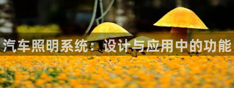 汽车照明系统：设计与应用中的功能