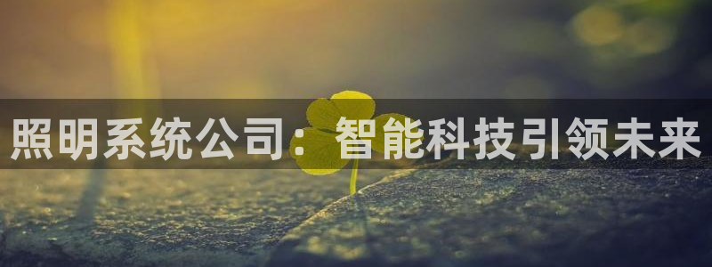 照明系统公司：智能科技引领未来