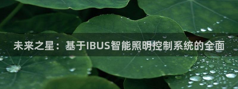 未来之星：基于IBUS智能照明控制系统的