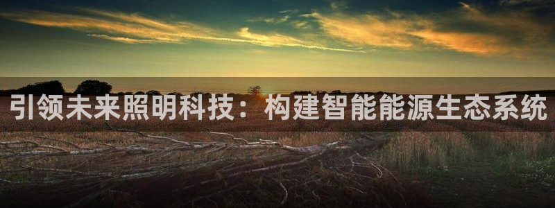 引领未来照明科技：构建智能能源生态系统