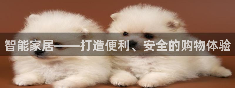 智能家居——打造便利、安全的购物体验