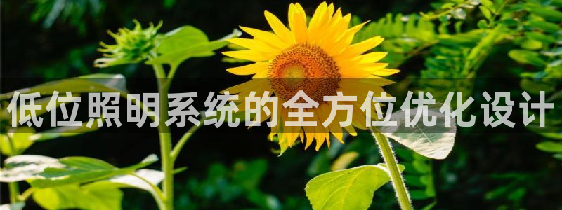 低位照明系统的全方位优化设计