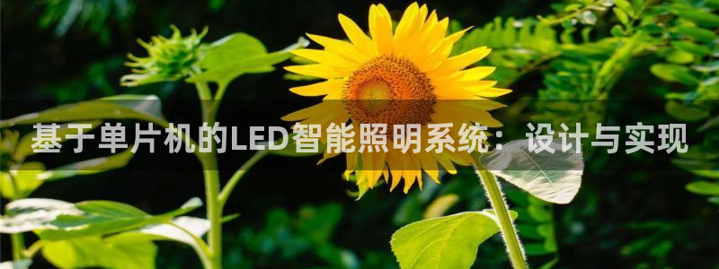 基于单片机的LED智能照明系统：设计与实