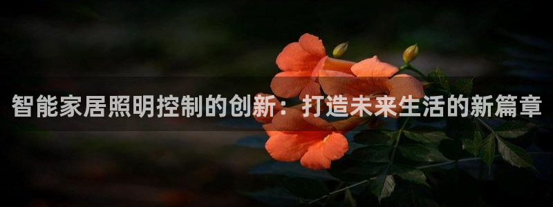 智能家居照明控制的创新：打造未来生活的新