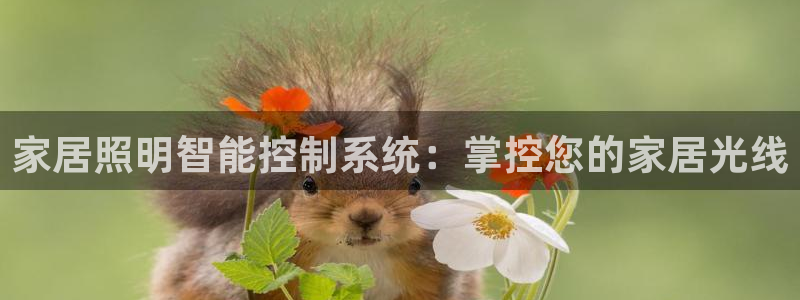 家居照明智能控制系统:掌控您的家居光线
