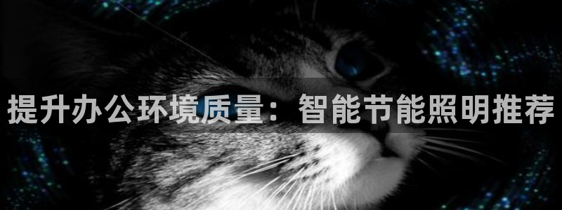 提升办公环境质量:智能节能照明推荐